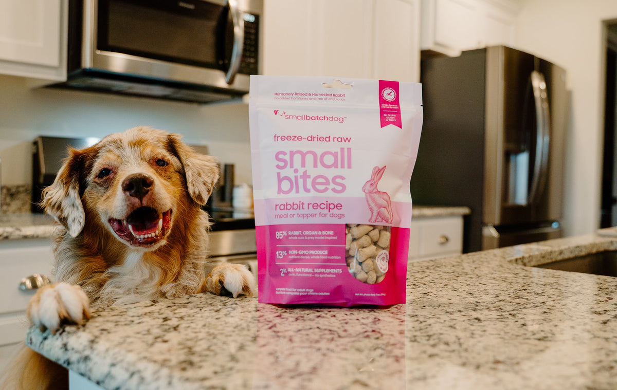 Dog sitting on the grass beside bags of Smallbatch rabbit recipe dog food