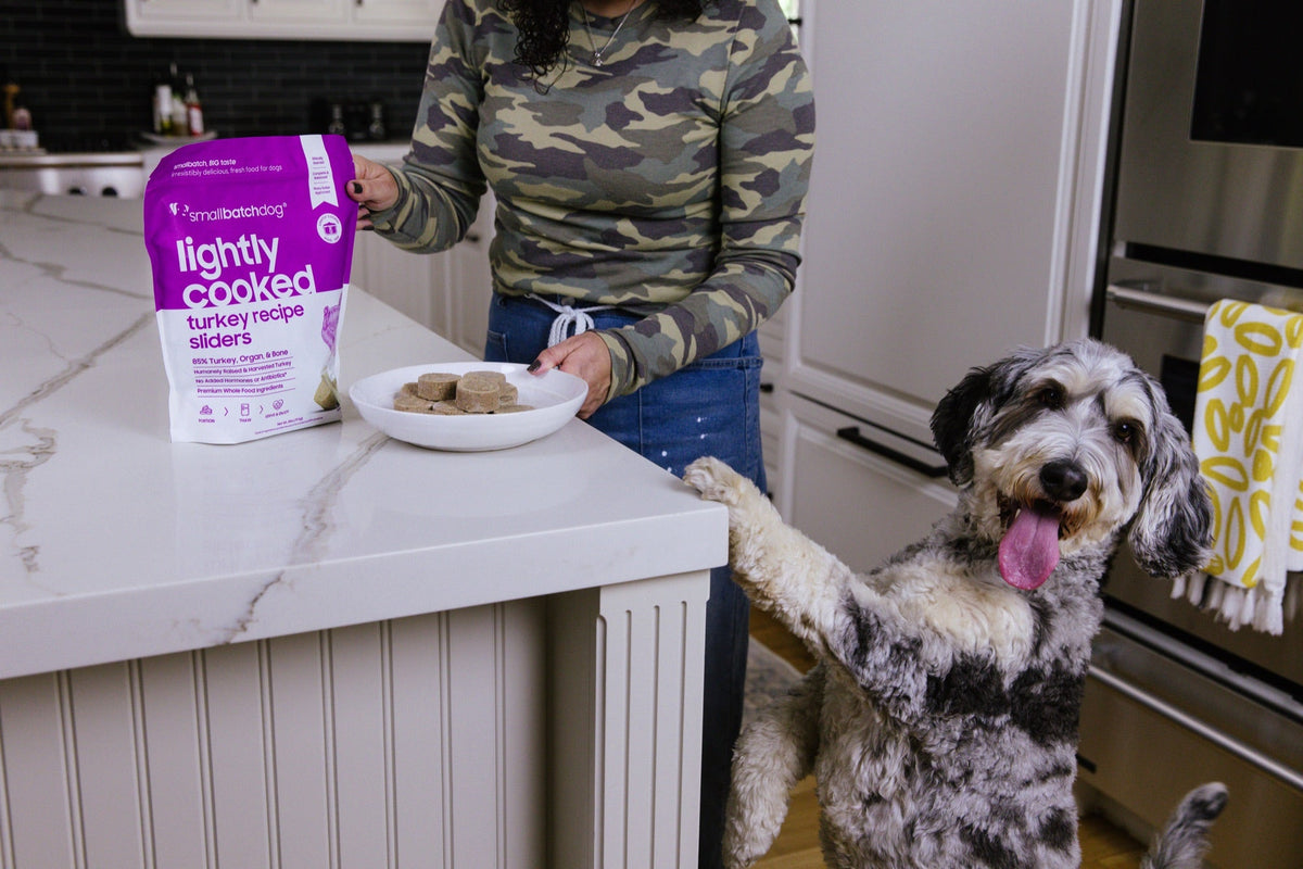 Excited dog with paws on the kitchen counter as Smallbatch Lightly Cooked is served