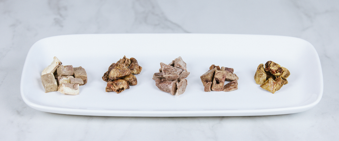 single ingredient dog treats on a plate