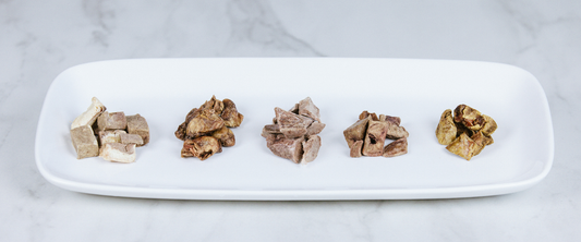 single ingredient dog treats on a plate