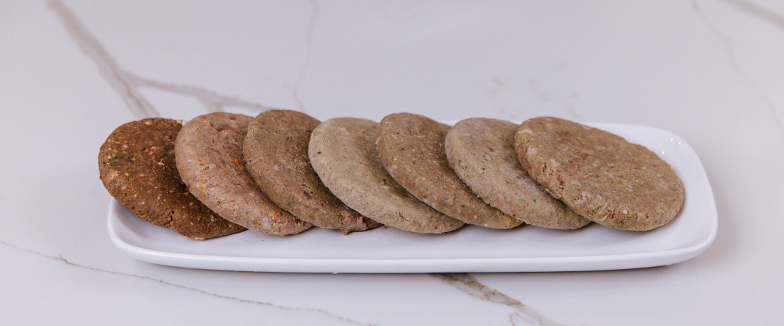 Smallbatch frozen raw dog food patties arranged on a white tray.