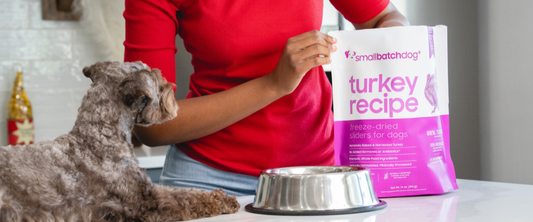 A small gray dog sits beside a stainless steel food bowl while a person in a red shirt holds a bag of smallbatch Freeze-Dried Turkey Recipe dog food on a kitchen counter.
