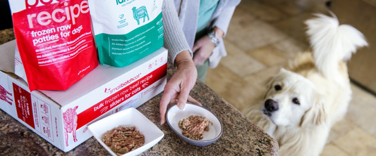 Large white dog beside a bowl of Smallbatch beef frozen raw dog food with Smallbatch recipe packaging.