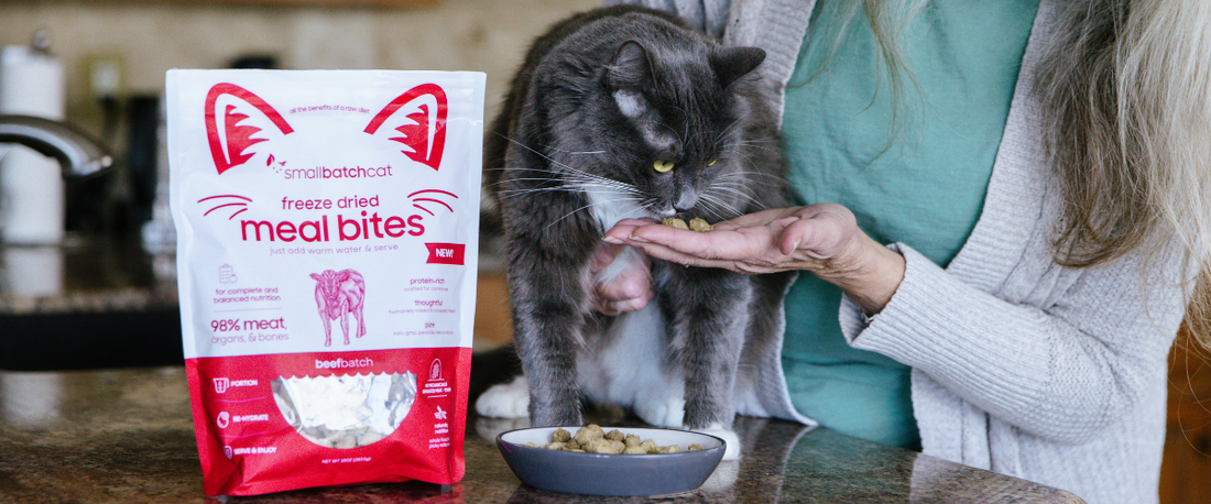 Black cat eating Smallbatch freeze-dried Meal Bites from a bowl beside the product packaging.