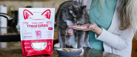 Black cat eating Smallbatch freeze-dried Meal Bites from a bowl beside the product packaging.