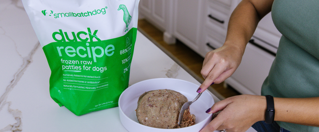 Raw duck dog food being served in a bowl