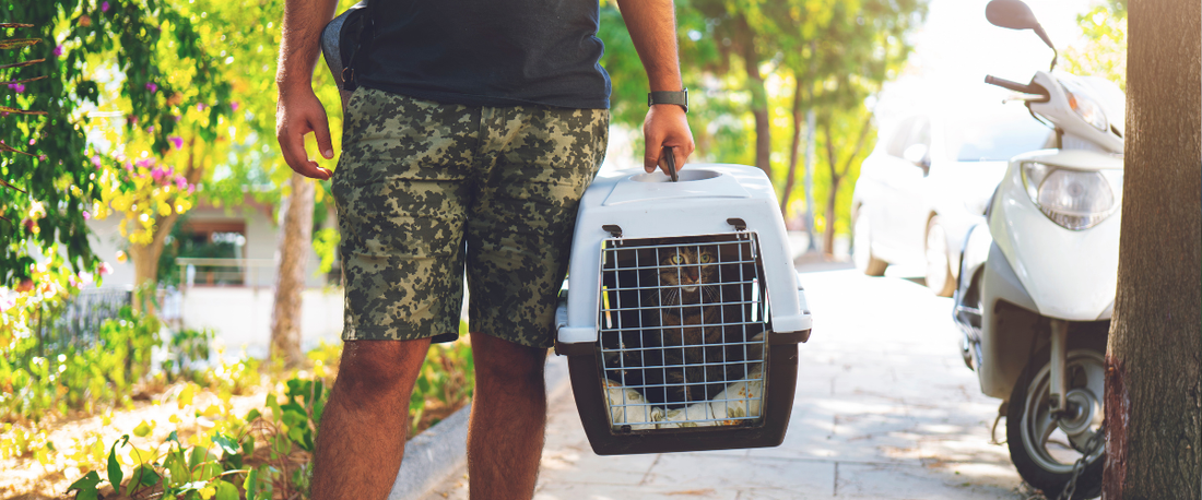 Many carrying cat in carrier on the street