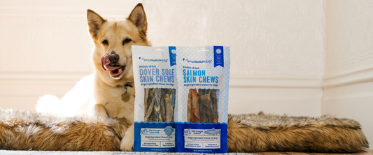 Dog licking lips behind fish chews