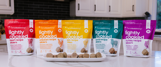 Smallbatch lightly cooked dog food lineup on countertop