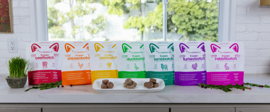 Smallbatch raw cat food on countertop