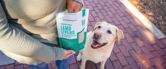 Happy dog beside a bag of Smallbatch freeze-dried lamb liver treats.