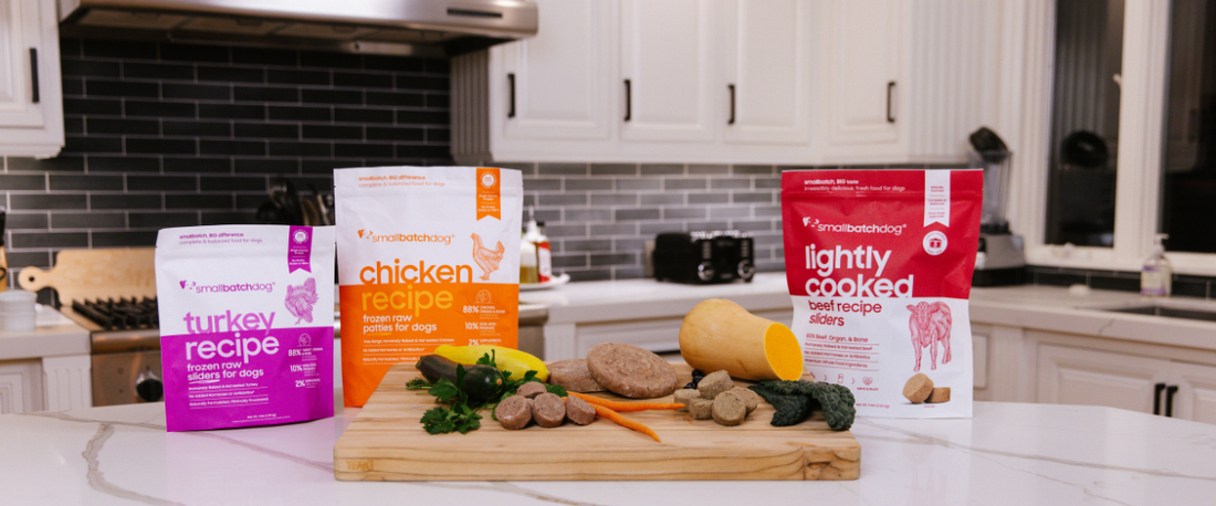 Lightly Cooked vs. Raw vs. Freeze-Dried Dog Food: What's the Difference?