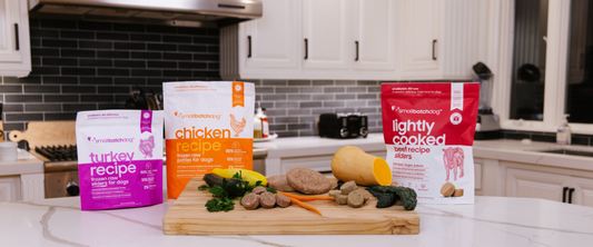 Lightly Cooked vs. Raw vs. Freeze-Dried Dog Food: What's the Difference?