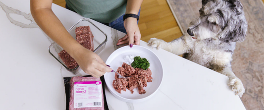 smallbatch base blend raw dog food served in bowl while dog watches at kitchen counter