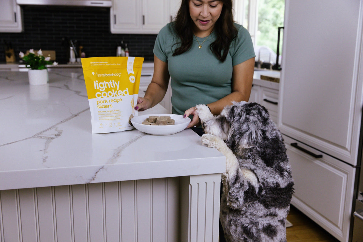 Woman serving a bowl of Smallbatch Lightly Cooked dog food to a gray dog at the kitchen counter