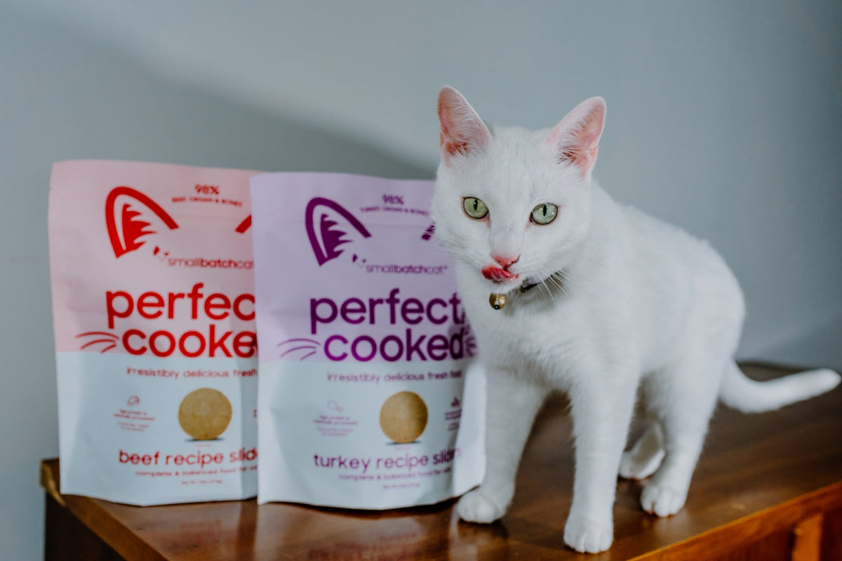 White cat standing on a wooden table beside bags of Smallbatch Perfectly Cooked cat food