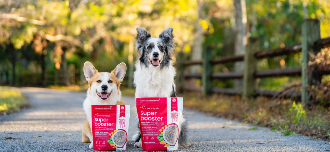 Meal Toppers for Dogs