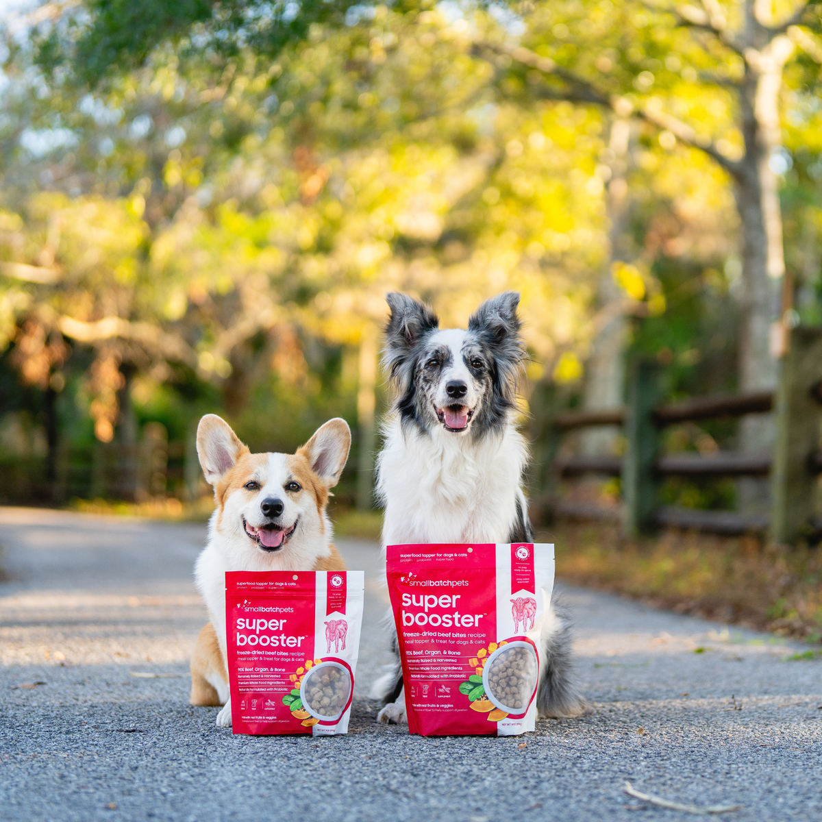 super boosters with dogs