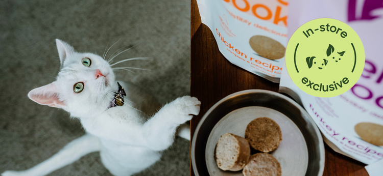 Fresh Perfectly Cooked Food for Cats – Smallbatch Pets