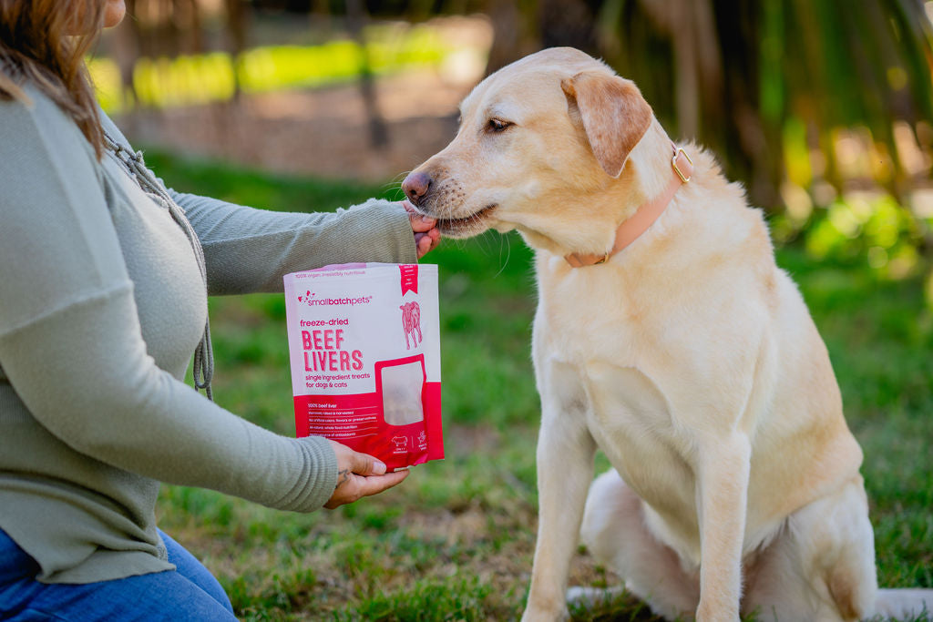 Treats for Dogs