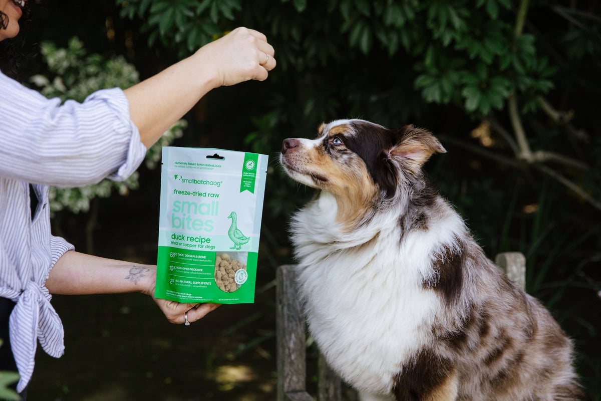 Novel Protein Food & Treats for Dogs