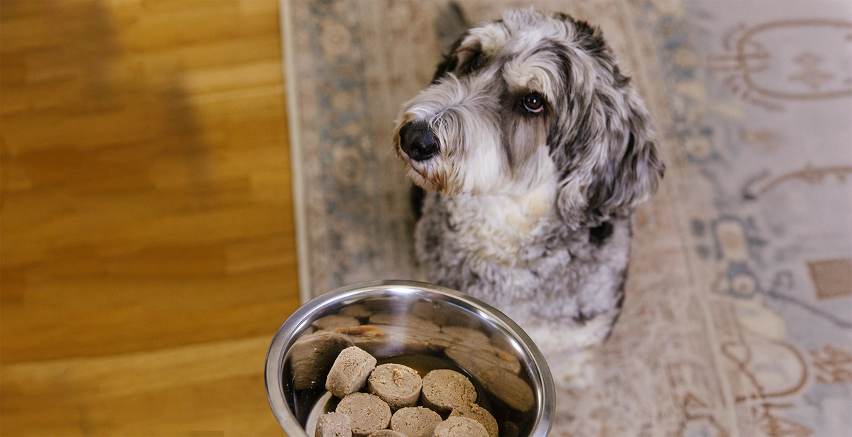 Dog Food & Treats for Sensitivities