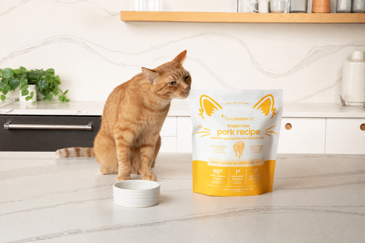 Cat Food & Treats for Sensitivities