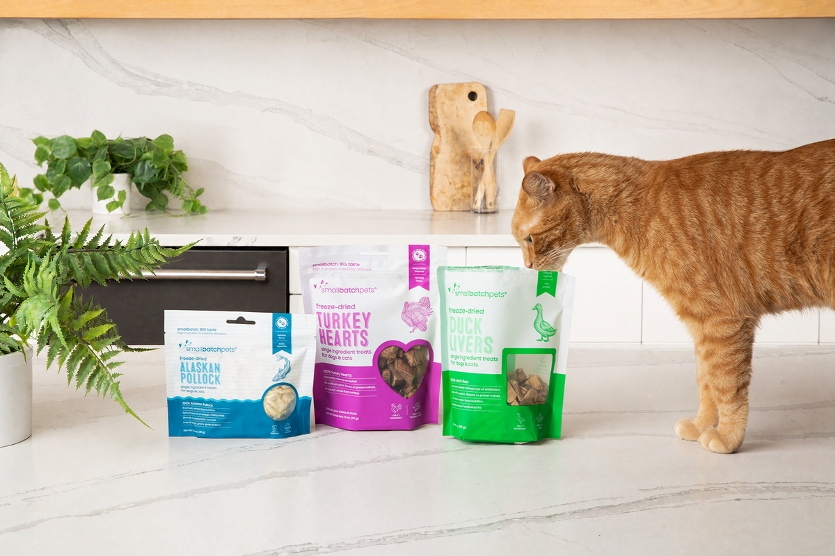 Shop All Cat