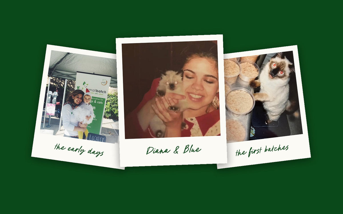 Three polaroid photos: Diana at an early Smallbatch demo, Diana holding her kitten Blue, and Blue sitting on the first batches of food