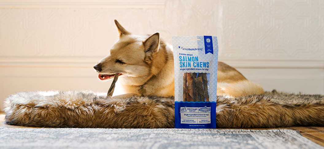 Person feeding a dog freeze-dried blue mussel treats