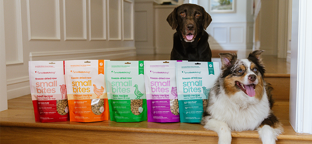 two dogs on wood step with small bites bags