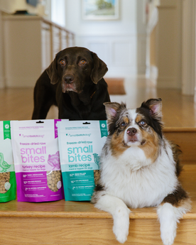 Two dogs on stairs next to three bags of smallbatch small bites.