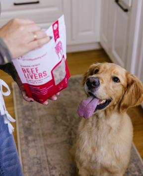 Dog eagerly waiting for a bag of Beef Livers treats held by a person in a kitchen.