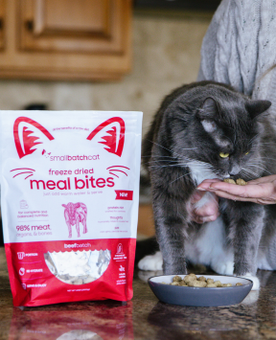 Cat eating from a bowl next to a package of freeze-dried meal bites on a kitchen counter.