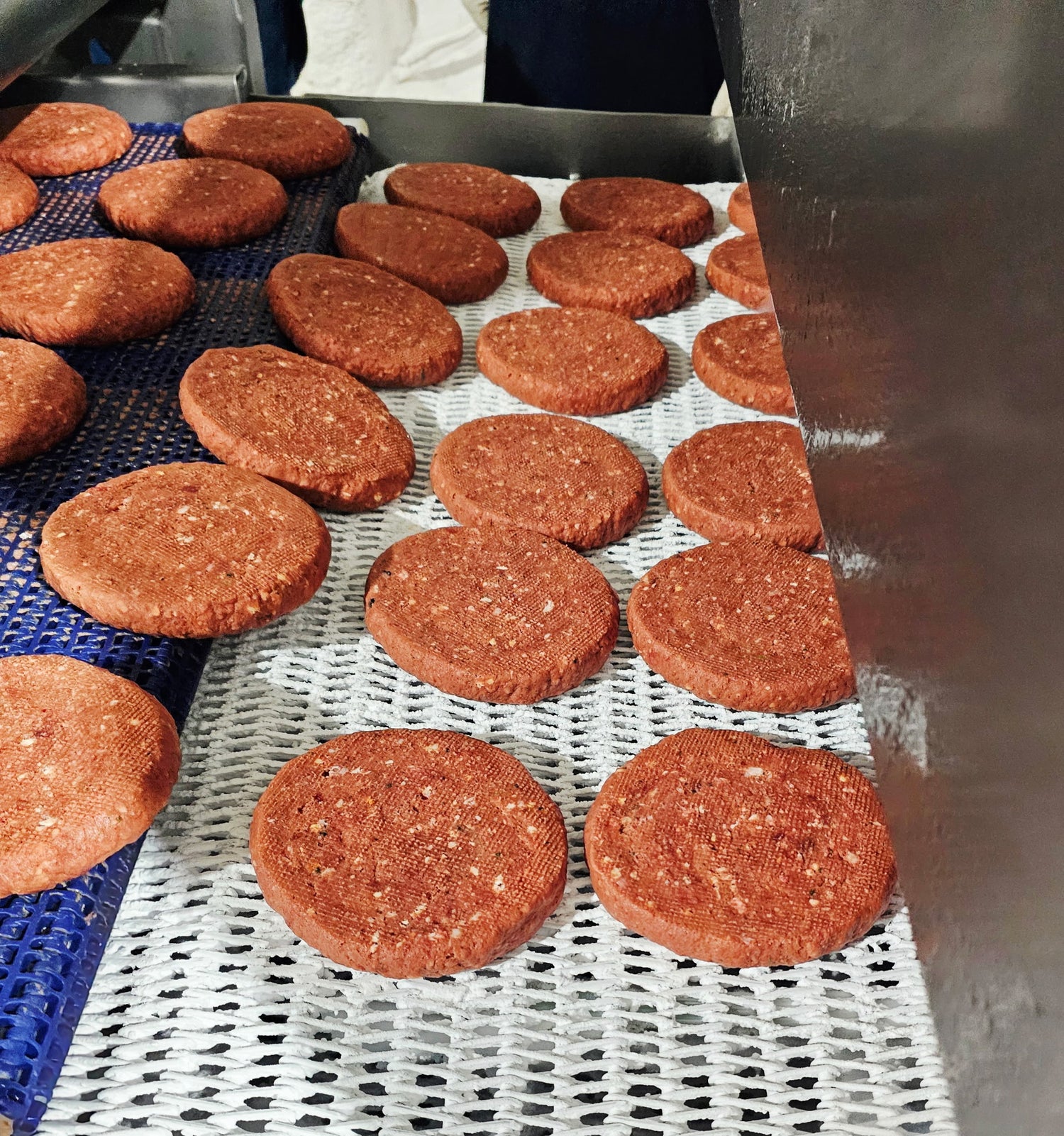 Frozen patties on conveyor belt