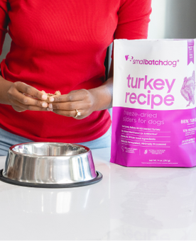 Person holding a bag of Dog Turkey Recipe dog food with a metal bowl on a white surface.