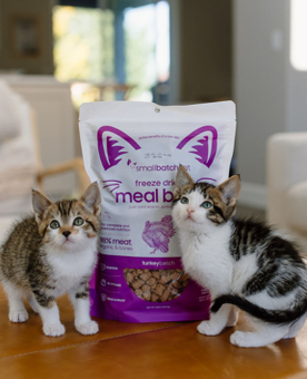 Two kittens standing next to a bag of Simba & Co. freeze-dried cat food on a wooden floor.