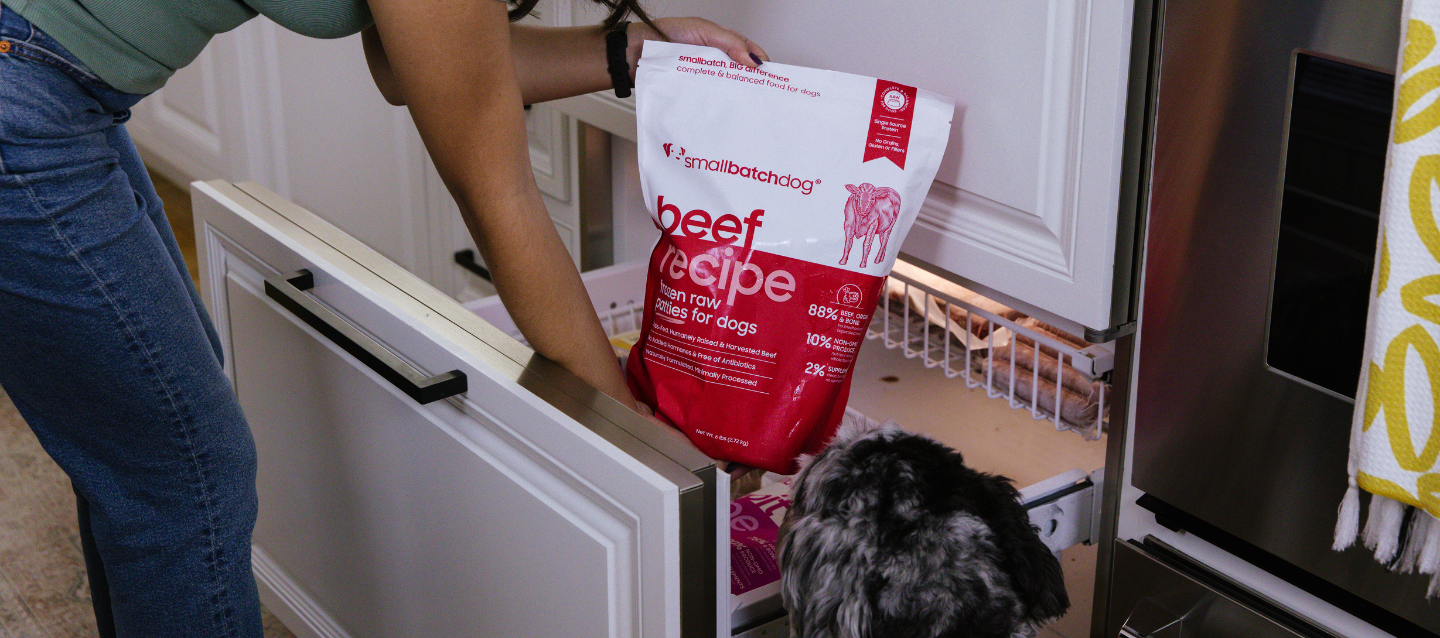 Person putting smallbatch frozen raw dog food patties into a freezer.