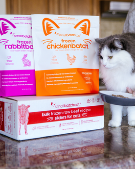 Cat on counter next to smallbatch frozen raw slider box and bags.
