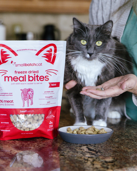 Person feeding a cat on a counter next to a bag of beef smallbatch meal bites.