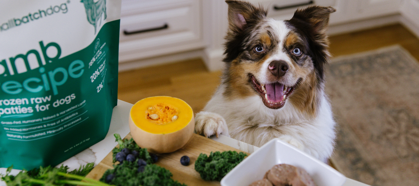 Dog with a bag of Lamb Recipe frozen raw pet food on a kitchen floor.