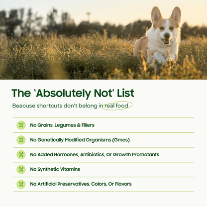 Frozen Raw Beef Base Blend - Dog Food