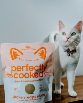 Cat standing next to a bag of 'Perfectly Cooked' cat food on a wooden surface.