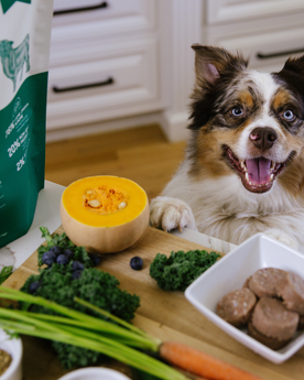 Dog with paws on counter near fresh vegetables and raw dog food sliders.