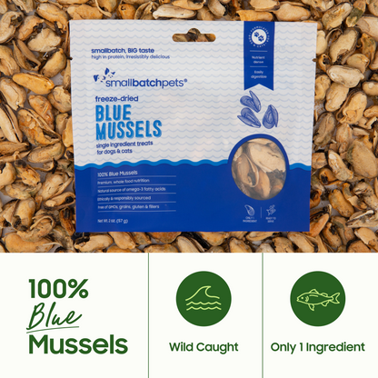 Freeze-Dried Blue Mussel Treats - Treats