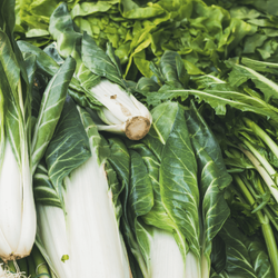 Close up view of various fresh raw greens.