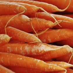 Close up view of many carrot sticks.