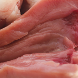 Close up view of raw chicken heart.
