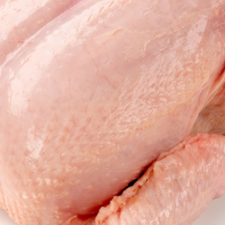 Close up view of raw chicken.
