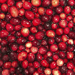 Close up view of whole cranberries floating.